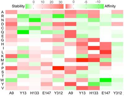 Comprehensive screening strategy coupled with structure-guided engineering of l-threonine aldolase from Pseudomonas putida for enhanced catalytic efficiency towards l-threo-4-methylsulfonylphenylserine